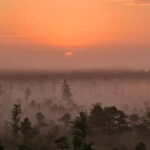 emeri Great Bog With Optional Sunrise & Jrmala Visit - Who Will Enjoy This Tour?