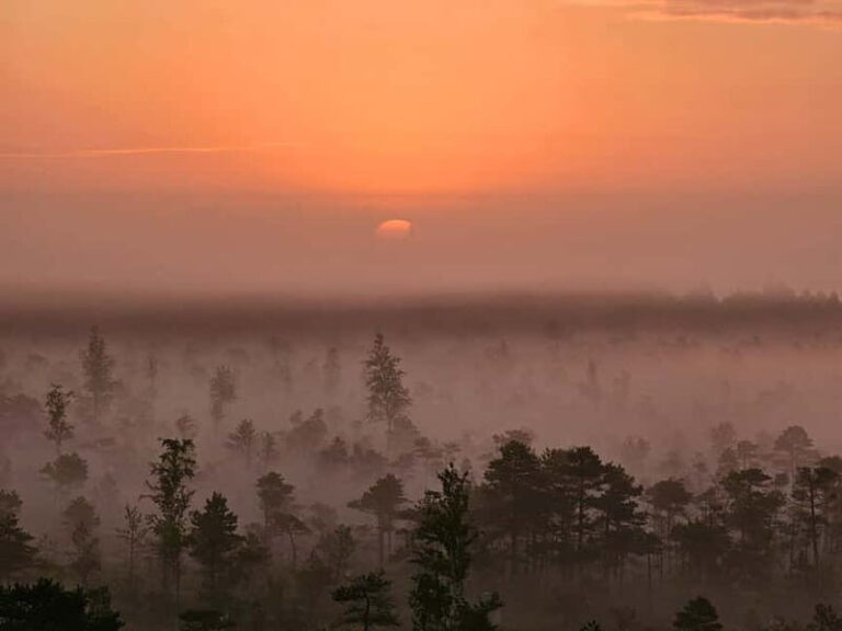 emeri Great Bog With Optional Sunrise & Jrmala Visit - Who Will Enjoy This Tour?