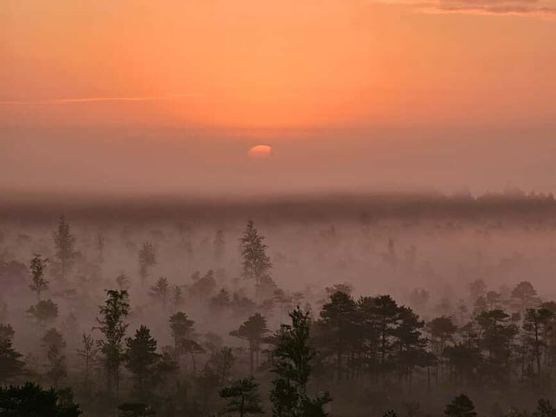 emeri Great Bog With Optional Sunrise & Jrmala Visit - Who Will Enjoy This Tour?