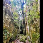 Enchanted Forest Hike and Wine Tasting Private Tour - Who Would Love This Tour?