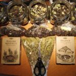 Enchanting Honey and Healing Tea Tasting - The Value of This Experience
