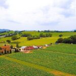 Enjoy a Wine Tasting after a cycling excursion in the magic of Tuscany - Authenticity and Value
