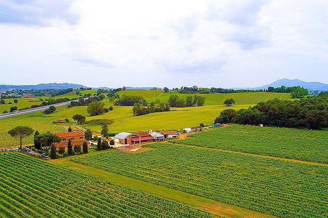 Enjoy a Wine Tasting after a cycling excursion in the magic of Tuscany - Authenticity and Value