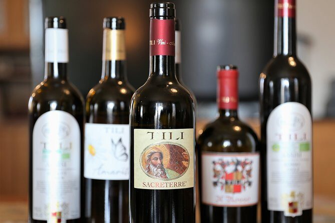 Enjoy and Taste the Flavors of Wine in an Open-air Venue - Who Will Love This Tour?