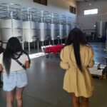 Enjoy The Algarvian Wine Taste & Coast Line Private Van Tour - The Highlight: Quinta dos Vales Wine Estate