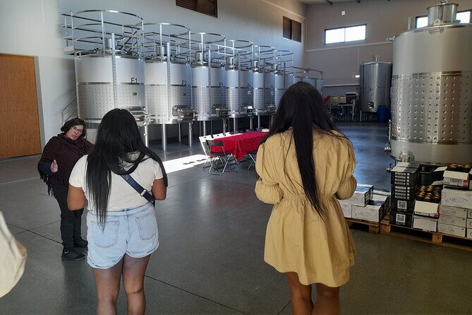 Enjoy The Algarvian Wine Taste & Coast Line Private Van Tour - The Highlight: Quinta dos Vales Wine Estate