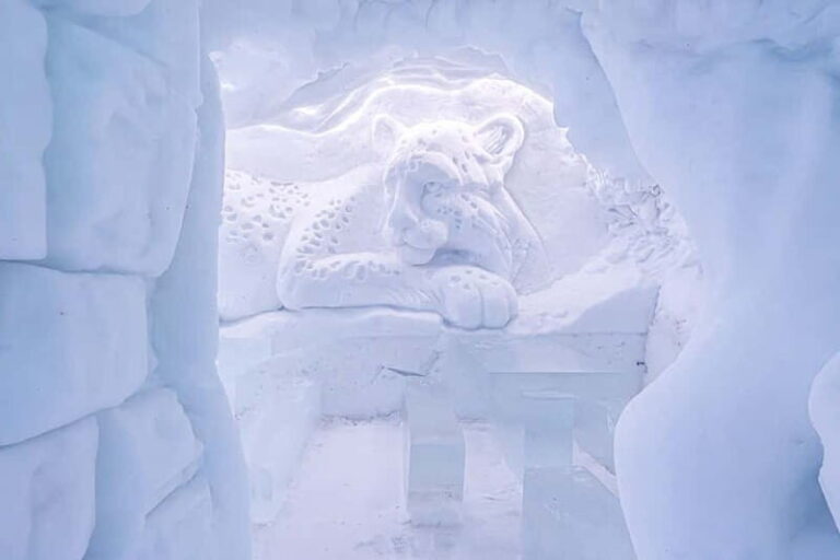 Entrance tickets to Snowman World and Snow Restaurant Dinner - What Can You Expect During the Visit?