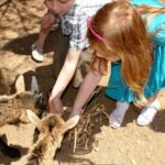 Entry Ticket for The Limestone Heritage Park and Gardens - A Closer Look at the Itinerary