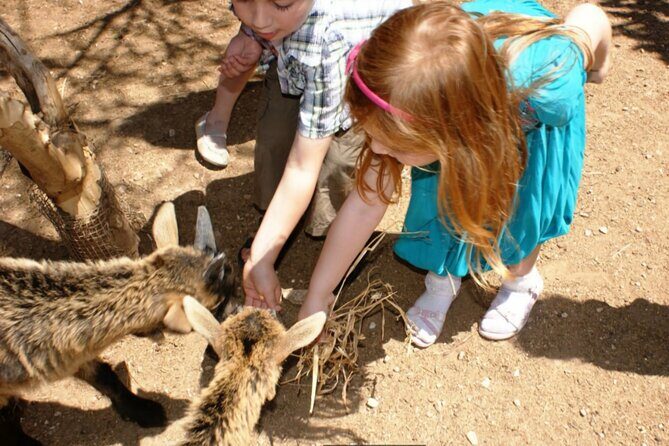 Entry Ticket for The Limestone Heritage Park and Gardens - A Closer Look at the Itinerary