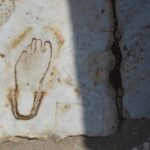 Ephesus and House of Virgin Mary Tour F/ Kusadasi with Lunch - What to Expect: A Detailed Look at the Experience