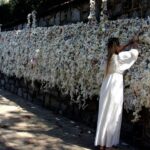 Ephesus and Virgin Mary Day Trip by Plane from Istanbul - Transportation and Comfort