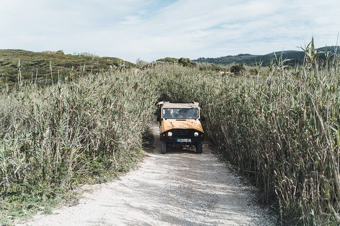 Epic Off-Road Adrenaline in Sintra - What the Reviews Say