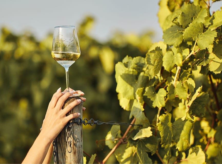 Ercolano vineyards, view cellar wine tasting and brunch - The Overall Value and Experience