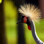 Erfurt: Erfurt Zoo Entry Ticket - Analyzing the Value