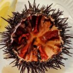 Ericeira Private Tour: 10 Tastings Food Tour - Who Will Love This Tour?