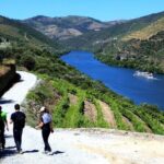 Ervedosa do Douro Walking Tour - Final Thoughts: Why This Tour Stands Out