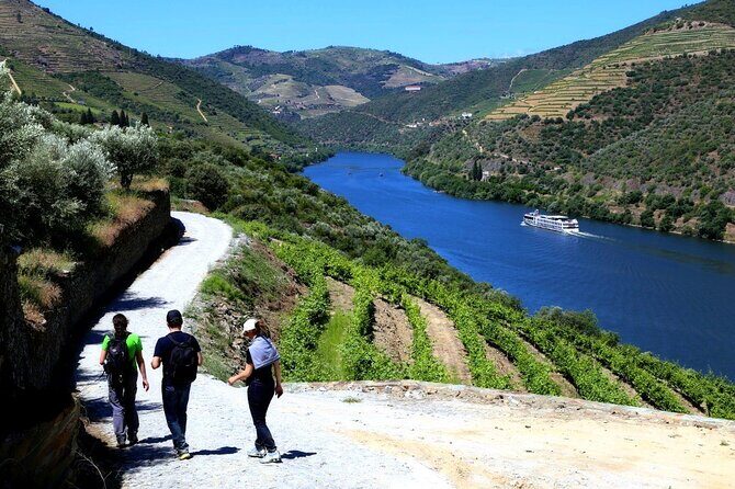 Ervedosa do Douro Walking Tour - Final Thoughts: Why This Tour Stands Out