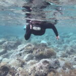 Es Grau:Private Snorkeling Experience with Picnic and Drinks - Key Points