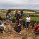Escapade and tasting in the Chablis vineyards - What makes this tour stand out?