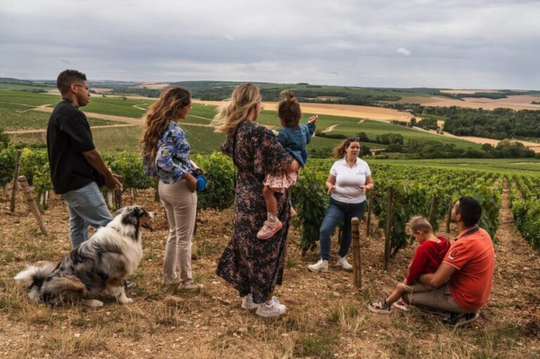 Escapade and tasting in the Chablis vineyards - What makes this tour stand out?