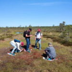 Escape from Tallinn  Hike, Swim, Forage & Cuddle Sled Dogs - The Value of This Experience