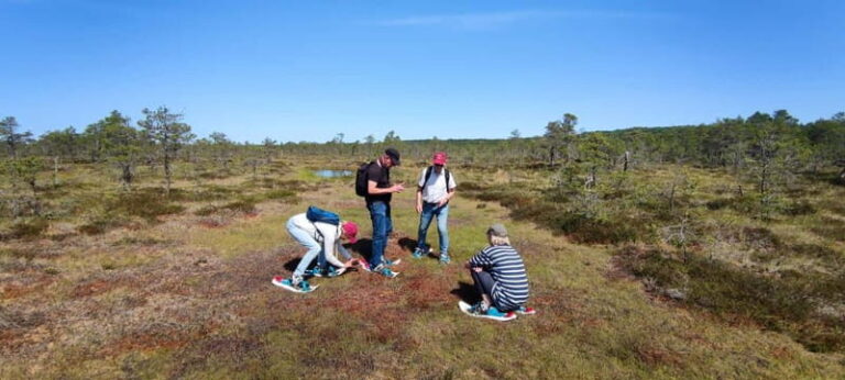 Escape from Tallinn  Hike, Swim, Forage & Cuddle Sled Dogs - The Value of This Experience