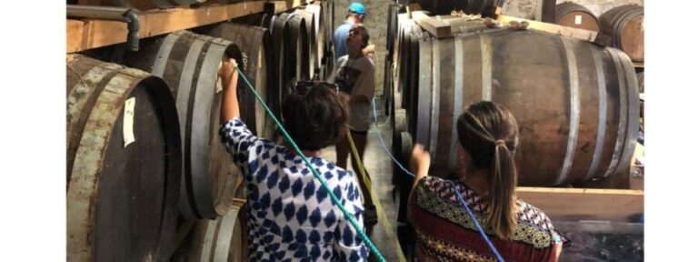 Escape Game in Gondrin - What Makes it Special?