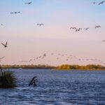 Escaroupim: 1 hour boat trip, guided tour - The Sum Up: Who Should Consider This Tour?