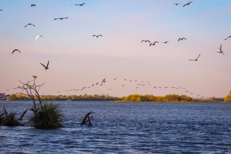 Escaroupim: 1 hour boat trip, guided tour - The Sum Up: Who Should Consider This Tour?