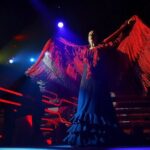 Espectáculo Flamenco Tablao "Las Setas" - Authenticity and Performance Quality
