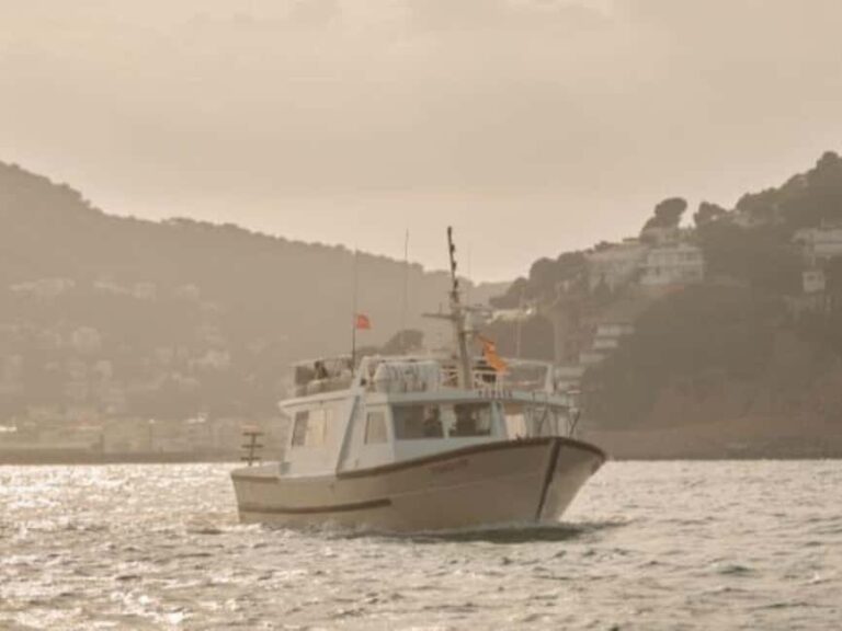 Estartit: Sunset Cruise with Snorkeling and a Drink - Authentic Insights from Reviews