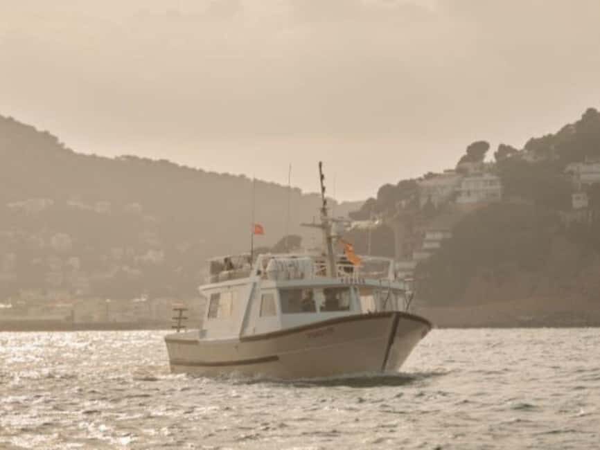 Estartit: Sunset Cruise with Snorkeling and a Drink - Authentic Insights from Reviews