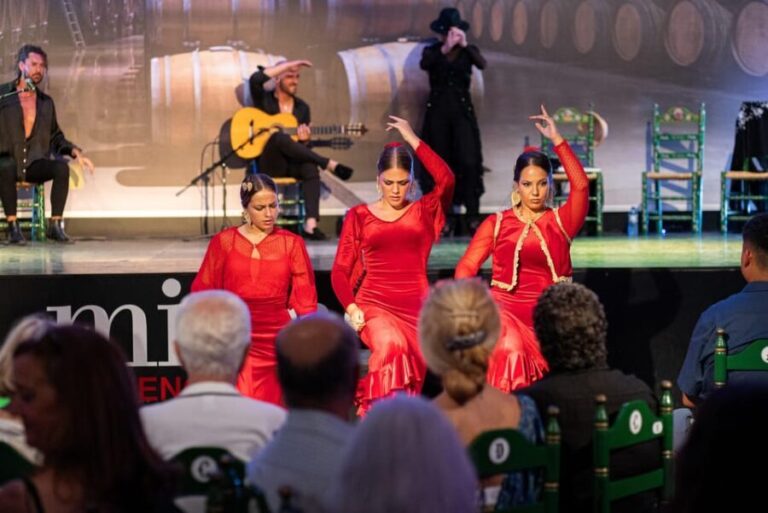 Estepona: Andalusian Flamenco Show Entry Ticket with Drink - Who Will Love This Experience?