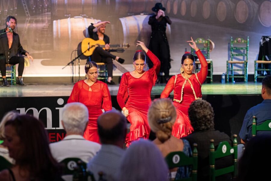 Estepona: Andalusian Flamenco Show Entry Ticket with Drink - Who Will Love This Experience?