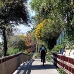 Estepona Walking Tour - City History, Culture & Gastronomy - Why This Tour Might Be Perfect for You