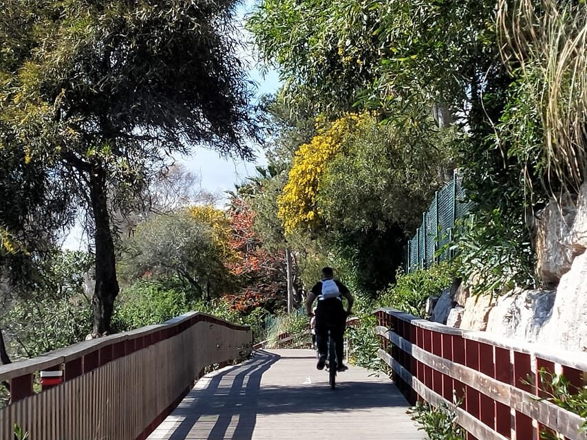 Estepona Walking Tour - City History, Culture & Gastronomy - Why This Tour Might Be Perfect for You