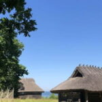 Estonian Open Air Museum  Cultural VIP tour from Tallinn - An In-Depth Look at the Estonian Open Air Museum VIP Tour