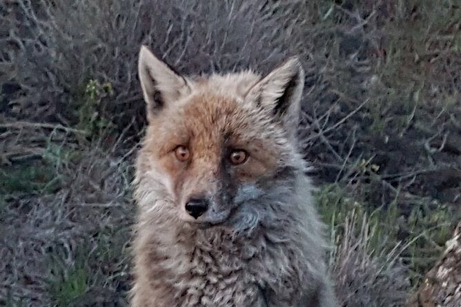 Etna and surroundings - Authentic Insights from Reviews