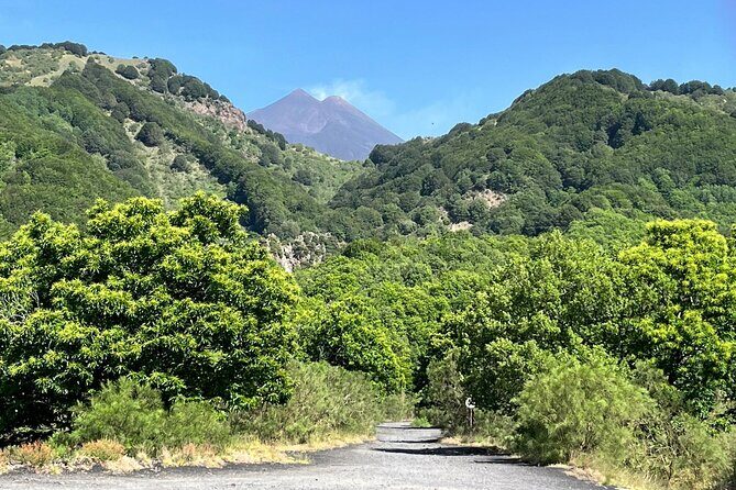 ETNA and TAORMINA departing from PALERMO, Private Tour - Transportation and Comfort