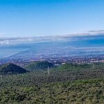 Etna and Wines Tour - The Itinerary: What to Expect at Each Stop