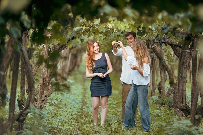 Etna Countryside Food & Wine Lovers Tour (Small Group or Private) - Discovering Sicily’s Culinary and Wine Treasures: A Deep Dive