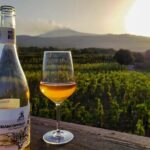 Etna excursion and wine tasting with Sicilian lunch - What Travelers Say: Authentic Feedback and Insights
