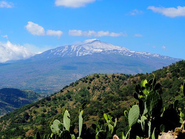 Etna Grantour - 4x4 & trekking - Private tour with lunch included - Final Thoughts