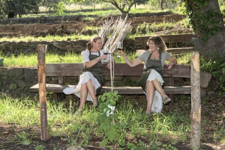 Etna in a glass: artisan wine tasting at the foot of the volcano - Key Points