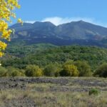 Etna morning tour from Syracuse - What We Liked