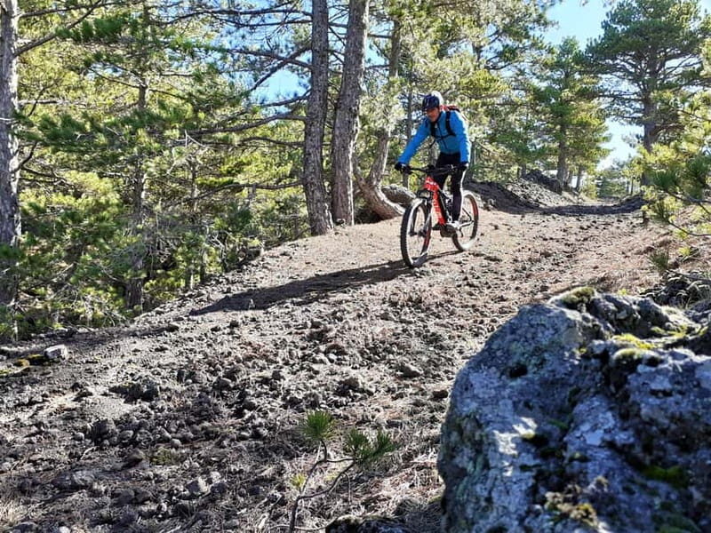 Etna: Mountain Bike or E-Bike Tour on Mount Etna - The Value of This Experience
