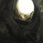 Etna private tour with wine cellar gambino lunch and wine tasting - Transportation and Logistics