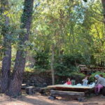 Etna & Sea: Pic Nic in Batia - Cost & Value Analysis