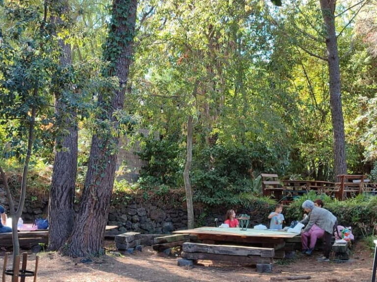 Etna & Sea: Pic Nic in Batia - Cost & Value Analysis