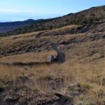 Etna Wine: discovering the volcano & enjoying a wine tasting - Final Thoughts: Is This Tour Worth It?